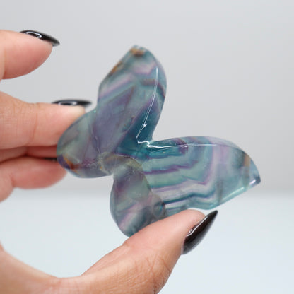 Fluorite Butterfly 8