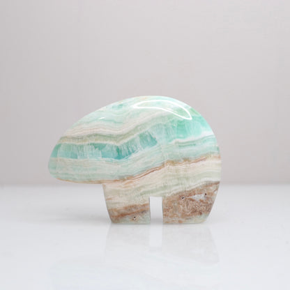 Caribbean Calcite Bear | 21