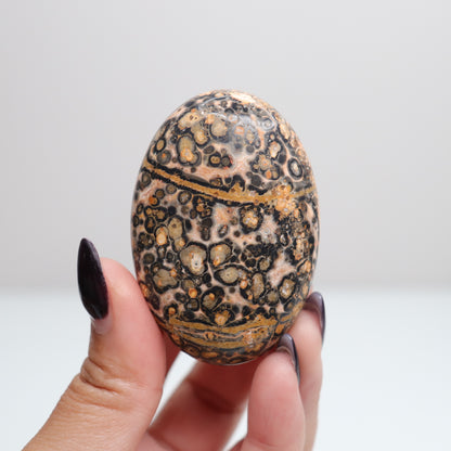 Leopard Skin Jasper Palm Stone | 25