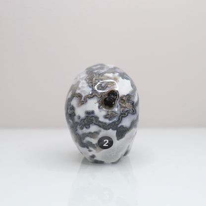 Moss Agate Skull | 2