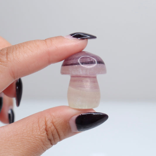 Fluorite Mushroom | 7