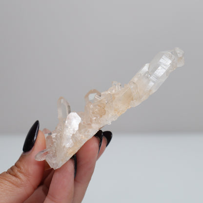 Quartz Cluster  | 24 🎸