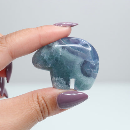 Durango Fluorite Mini Bear 6