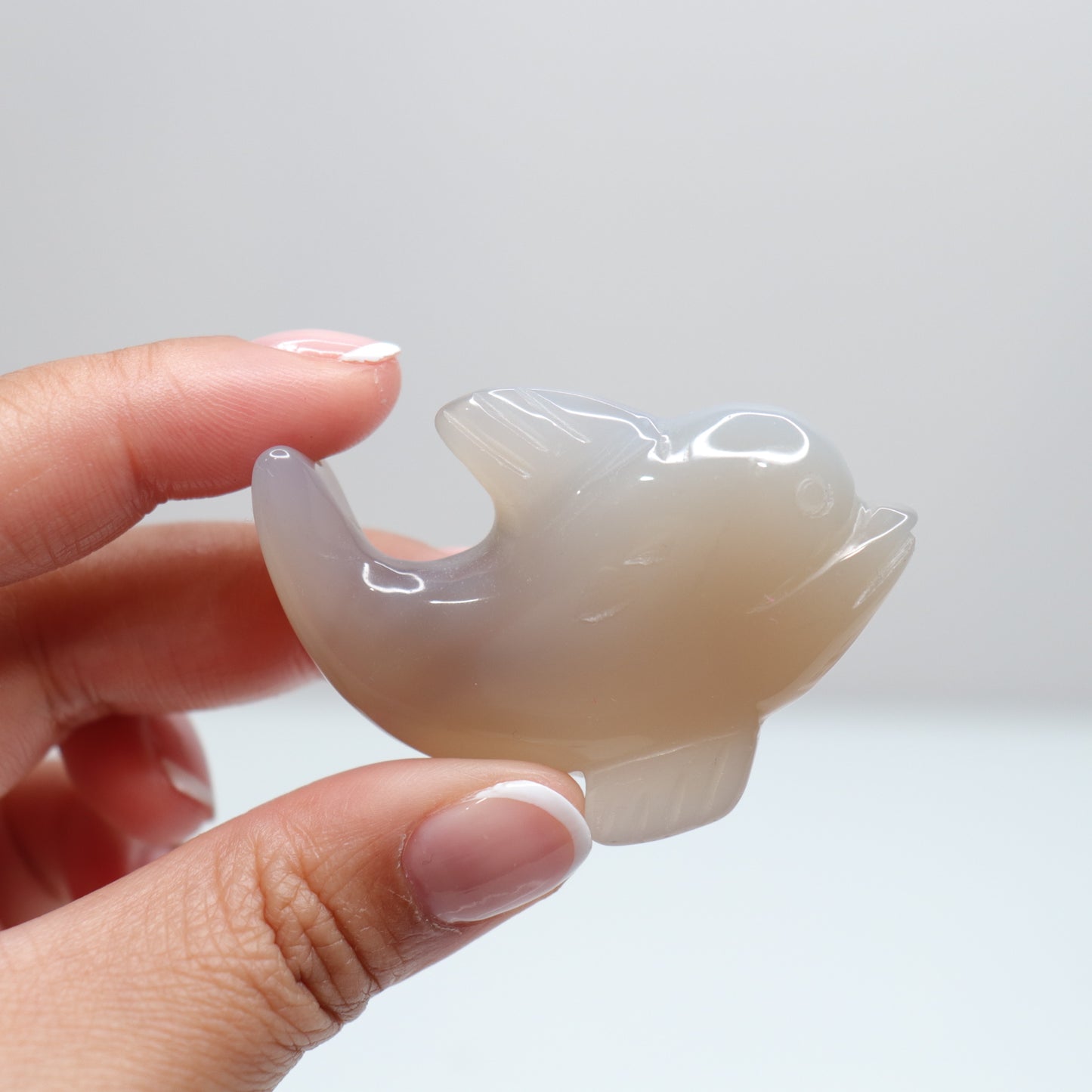 Agate Dolphin | 5