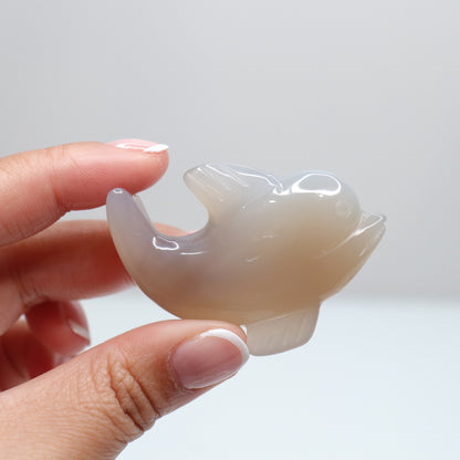 Agate Dolphin | 5