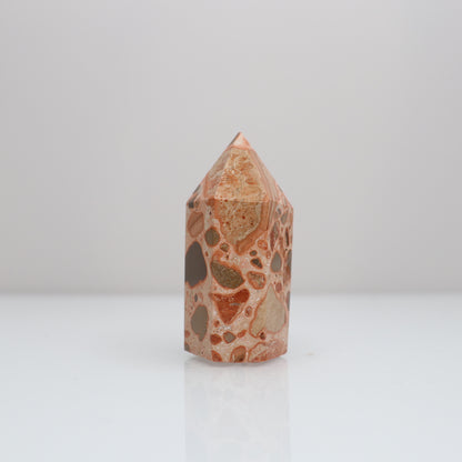 Leopardite Tower | 14