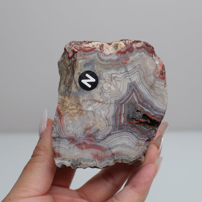 Laguna Lace Agate | N