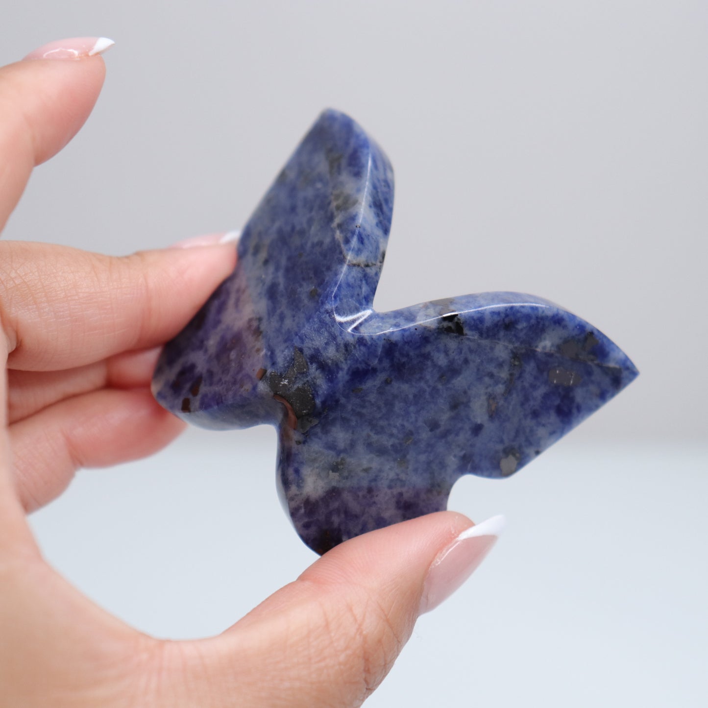 Sodalite Butterly J