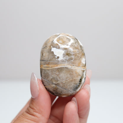 Sea Jasper Palm Stone | L
