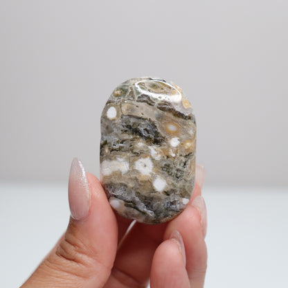 Sea Jasper Palm Stone | F
