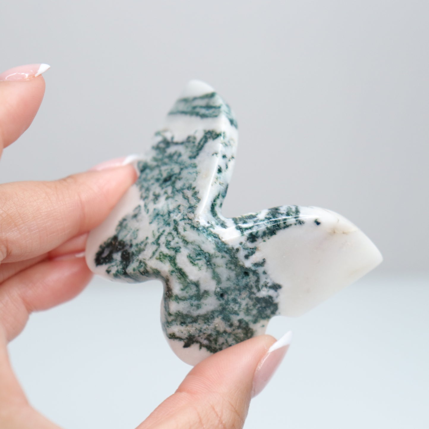 Tree Agate Butterfly E