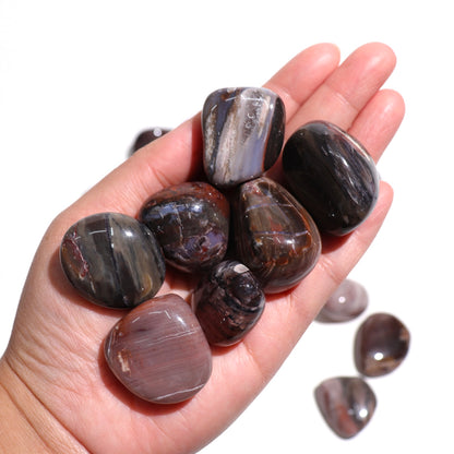 Petrified Wood Tumbles