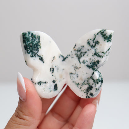 Tree Agate Butterfly D