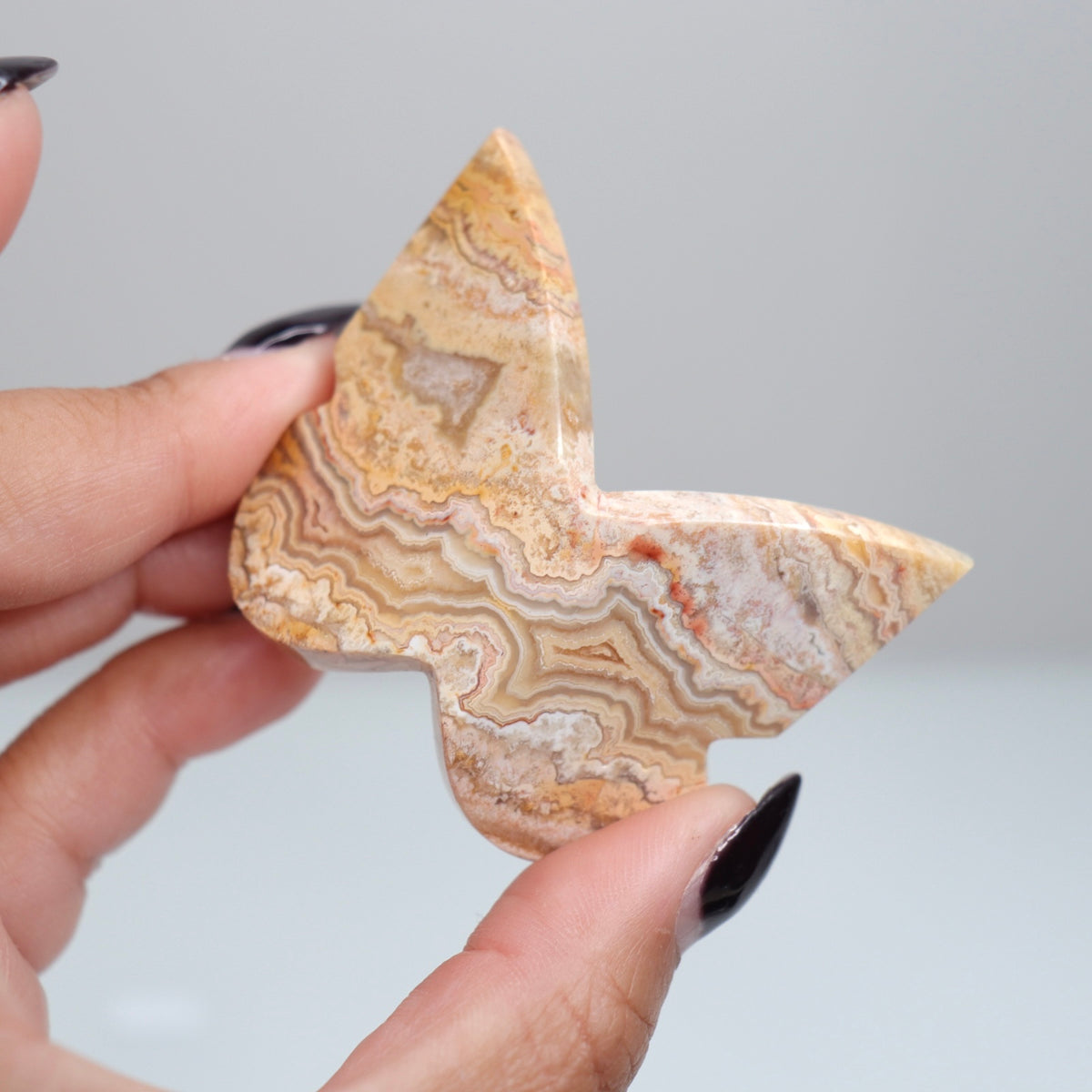 Crazy Lace Agate Butterfly | 5