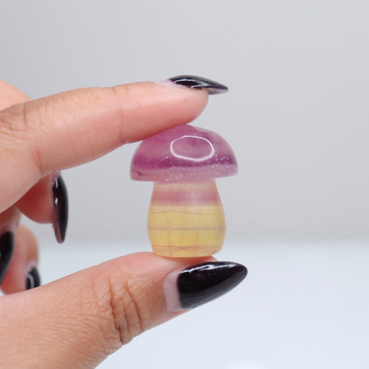 Fluorite Mushroom | 8