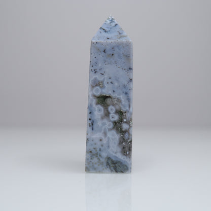 Ocean Jasper Tower | 9