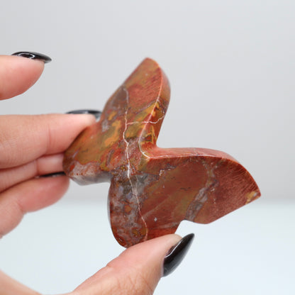 Cobra Jasper Butterfly 5