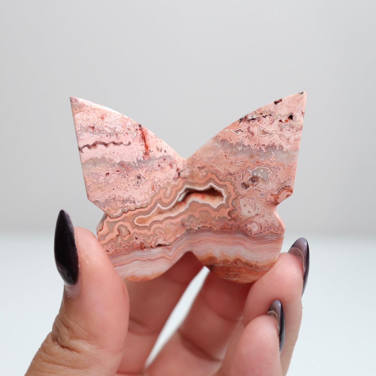 Crazy Lace Agate Butterfly | 16