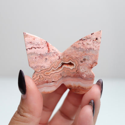 Crazy Lace Agate Butterfly | 16