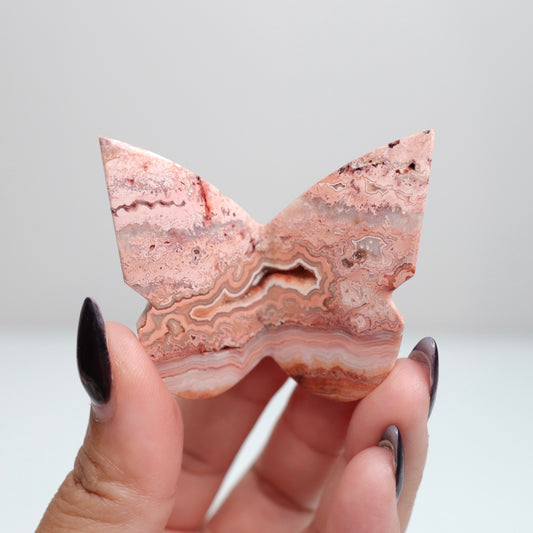 Crazy Lace Agate Butterfly | 16