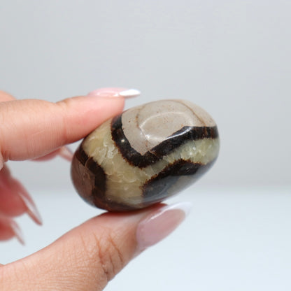 Septarian Palm Stone 80