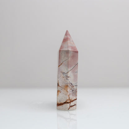 Polychrome Jasper Tower | 107