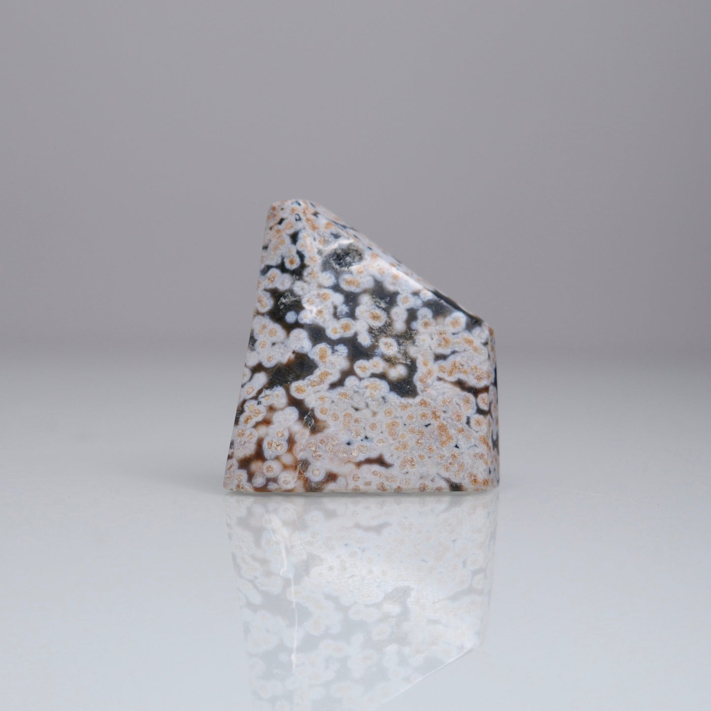 Ocean Jasper Freeform | 2