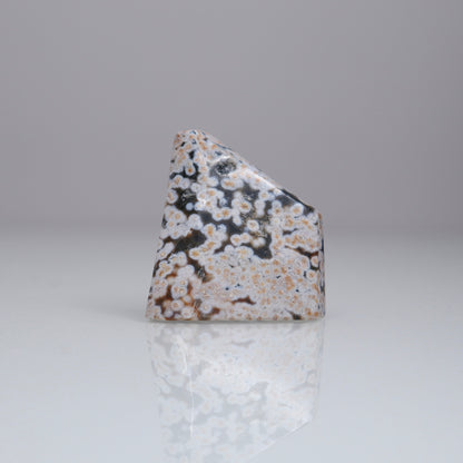 Ocean Jasper Freeform | 2