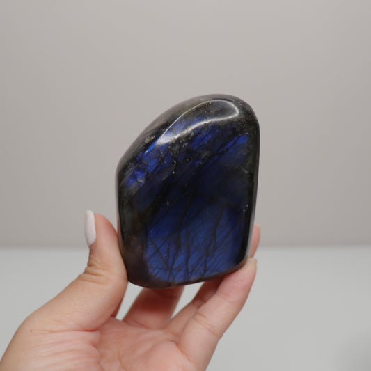 Labradorite Freeform | 4