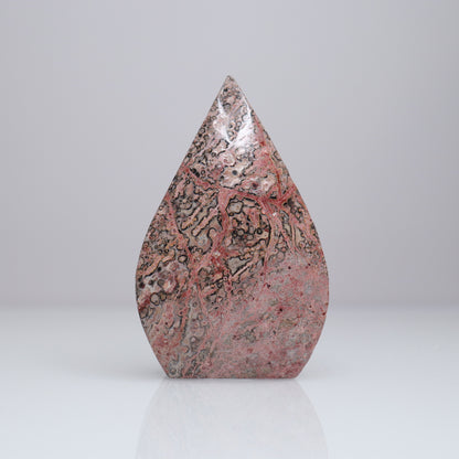 Leopard Skin Jasper Freeform 1