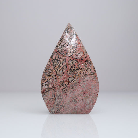 Leopard Skin Jasper Freeform 1
