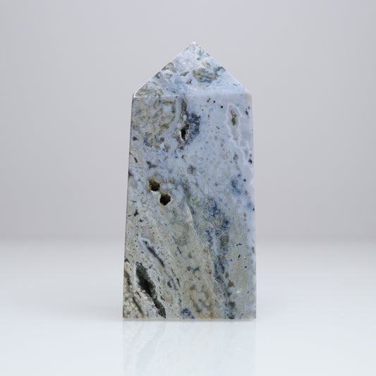 Ocean Jasper Tower | 9