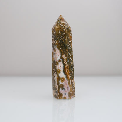 Ocean Jasper Tower 5