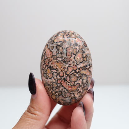 Leopard Skin Jasper Palm Stone | 26