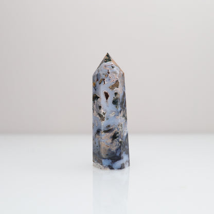 Ocean Jasper Tower | 81