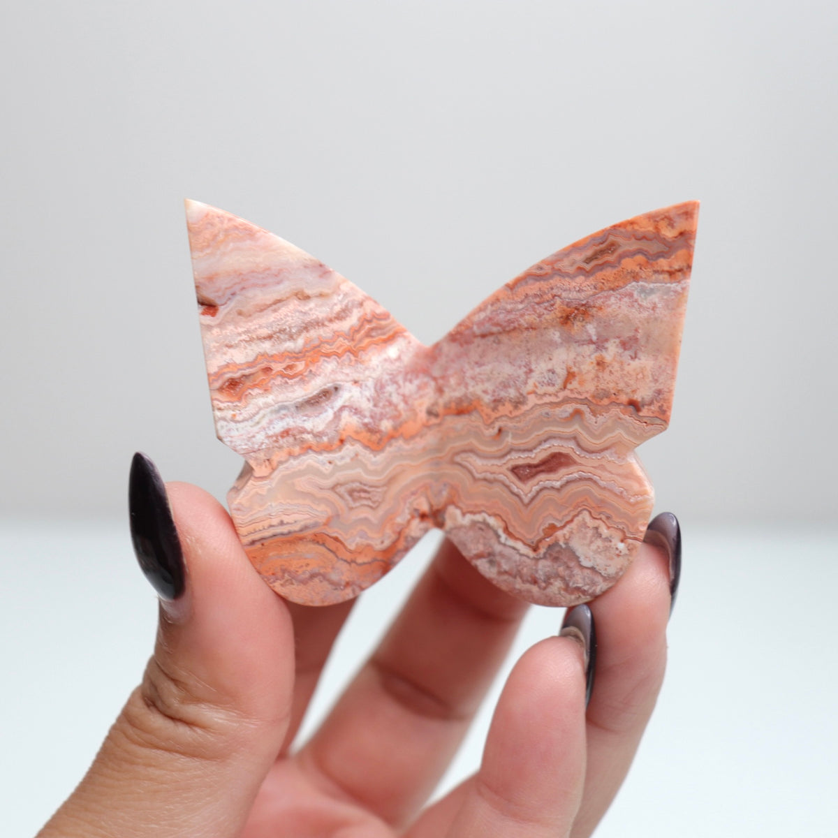 Crazy Lace Agate Butterfly | 20