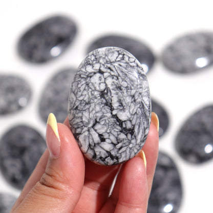 Pinolith Palm Stones