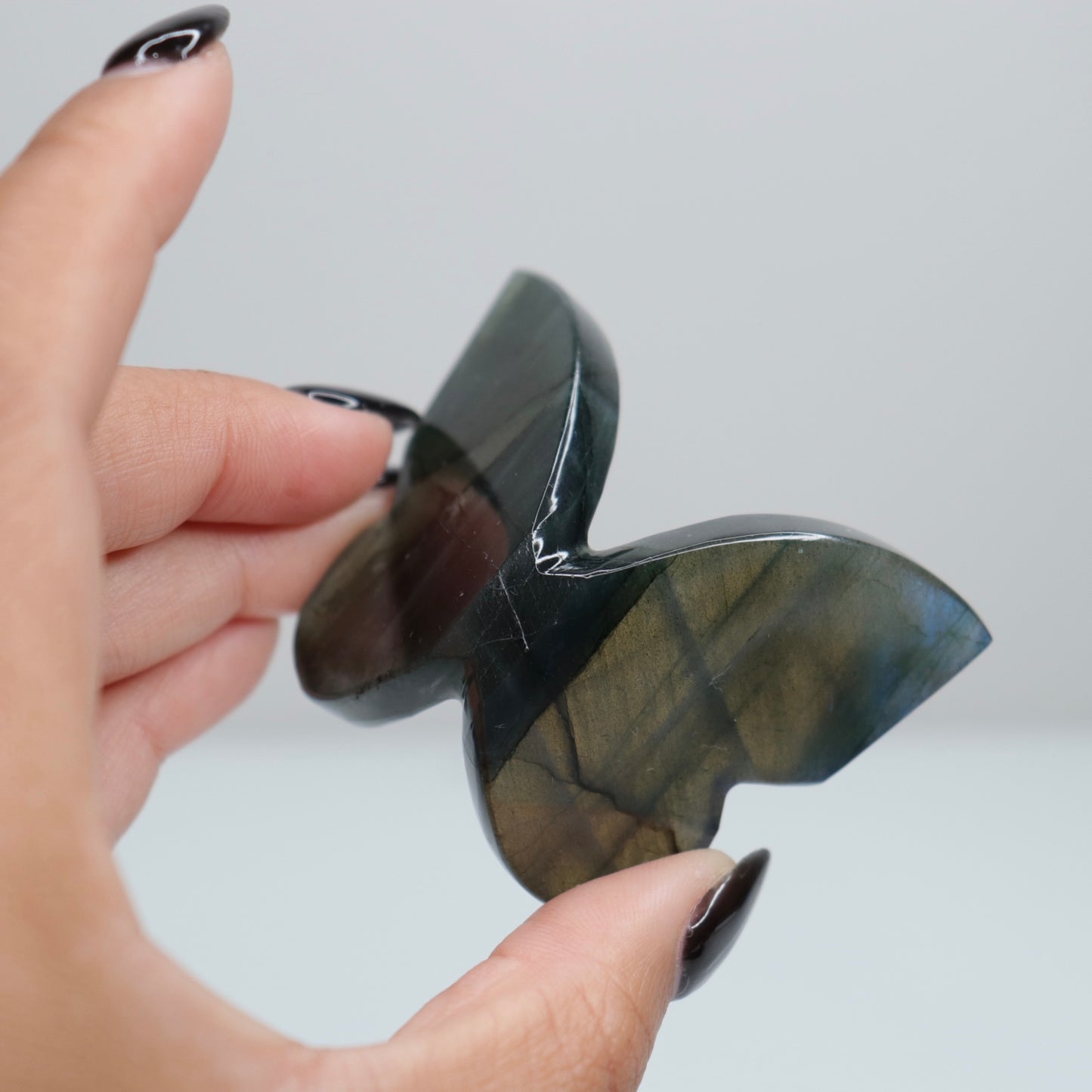 Labradorite Butterfly 5