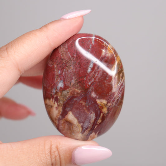Petrified Wood Palm Stone | 3