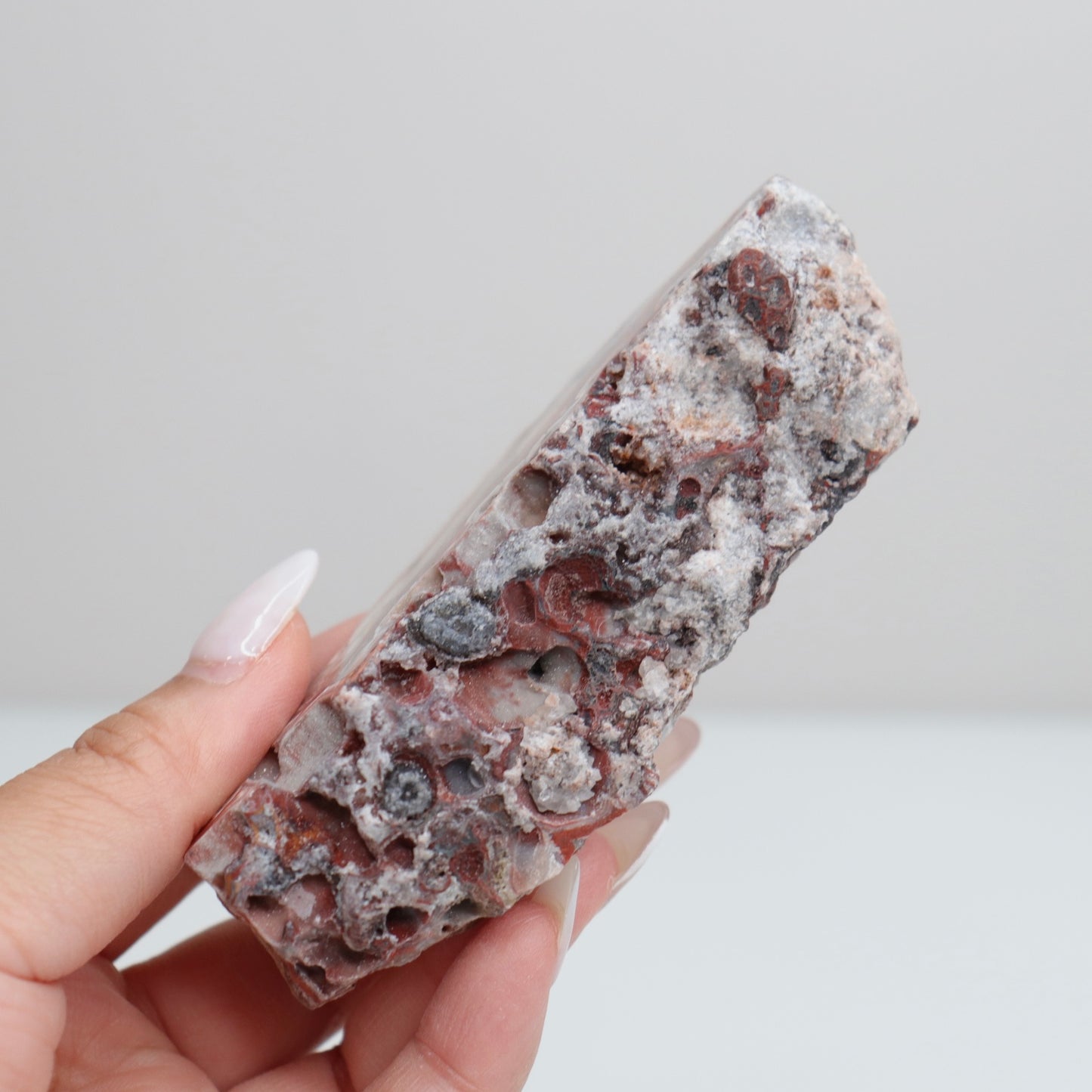 Laguna Lace Agate | H