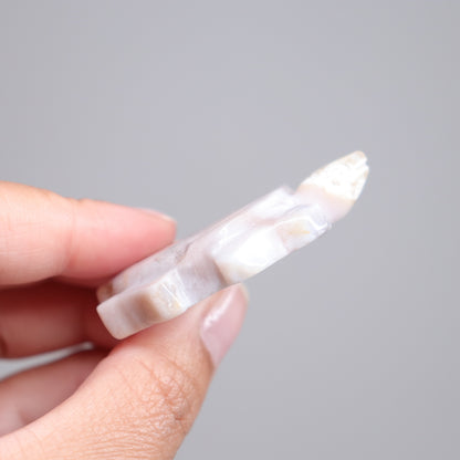 Flower Agate Turtle | 2