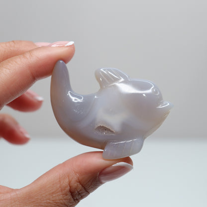Agate Dolphin | 6