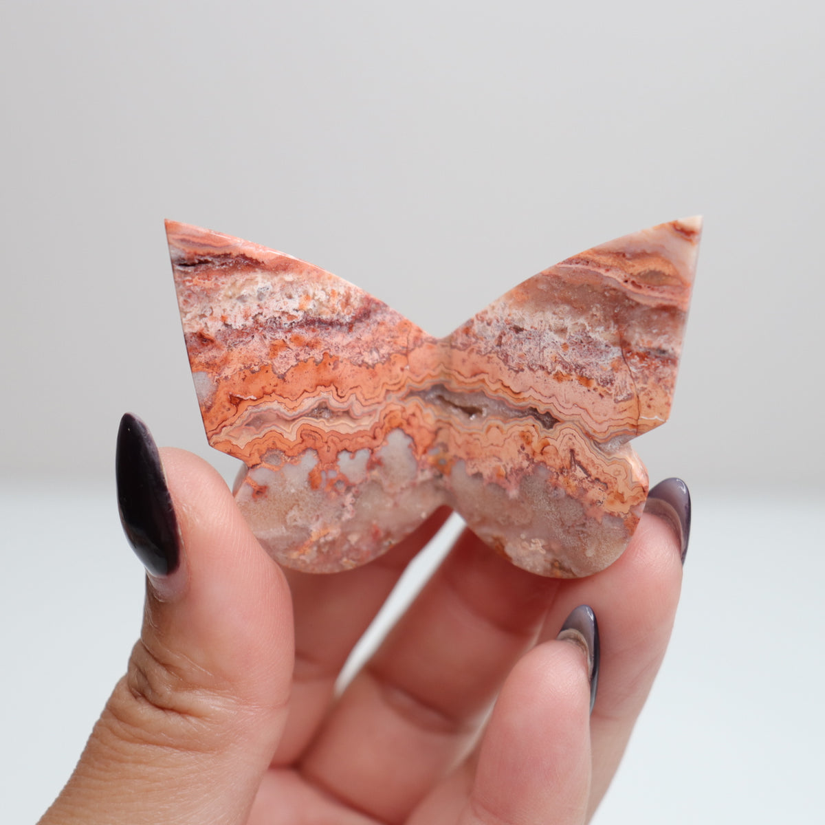 Crazy Lace Agate Butterfly | 23