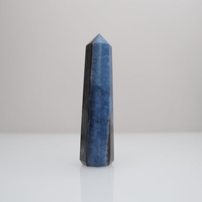 Blue Opal Tower | L