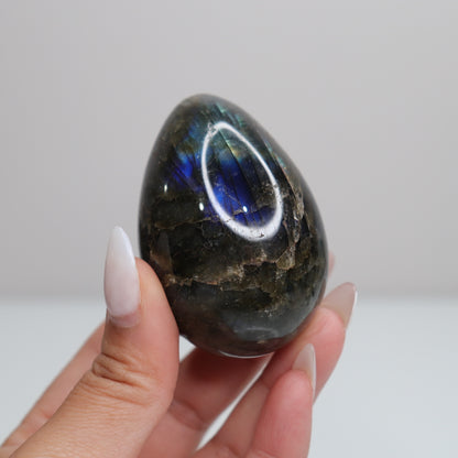 Labradorite Egg | 39