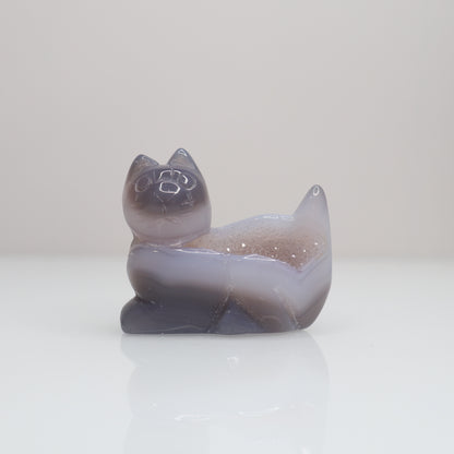 Druzy Agate Cat | K