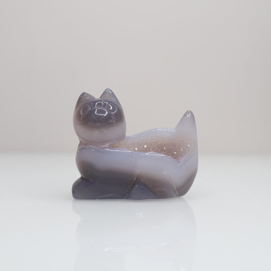 Druzy Agate Cat | K