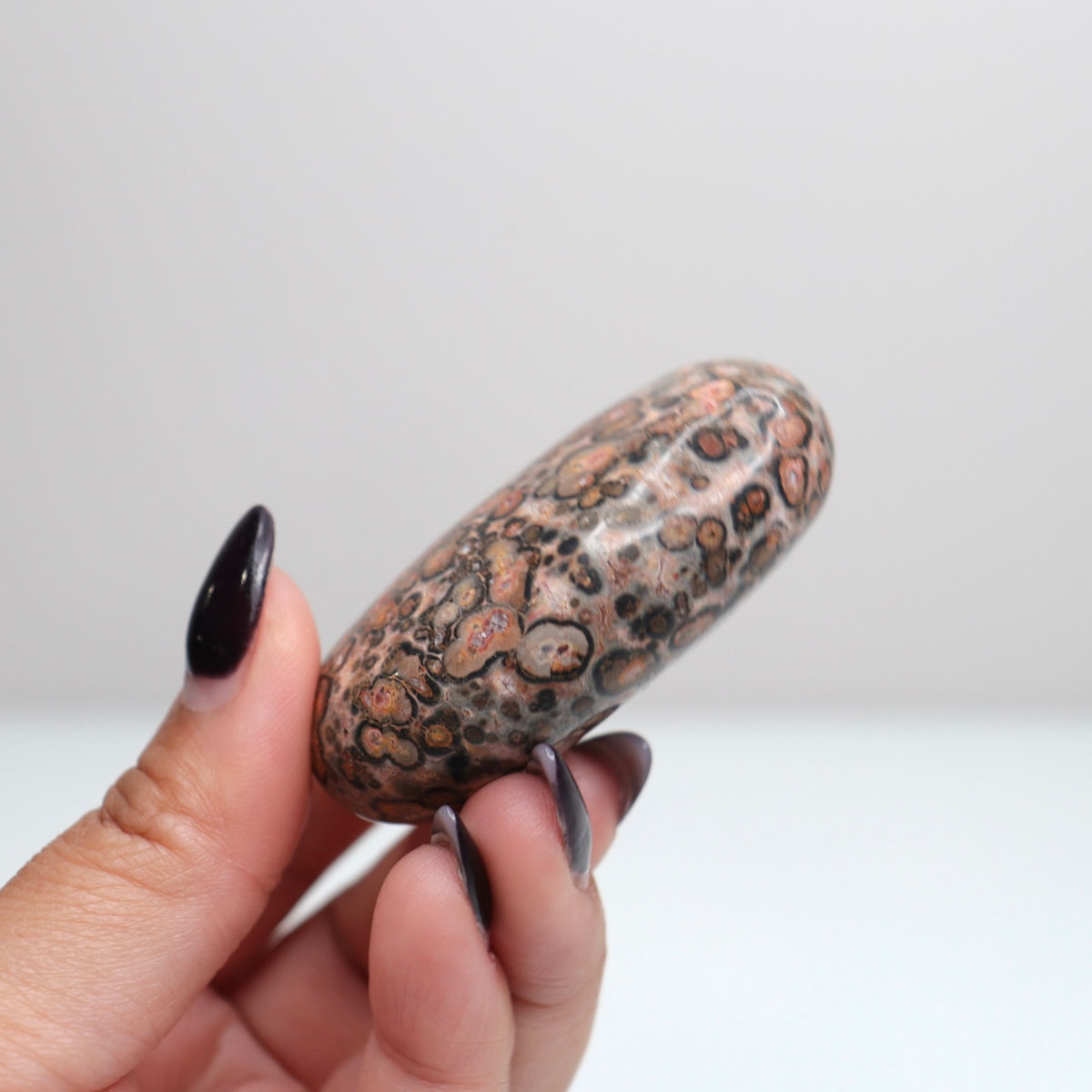 Leopard Skin Jasper Palm Stone | 26