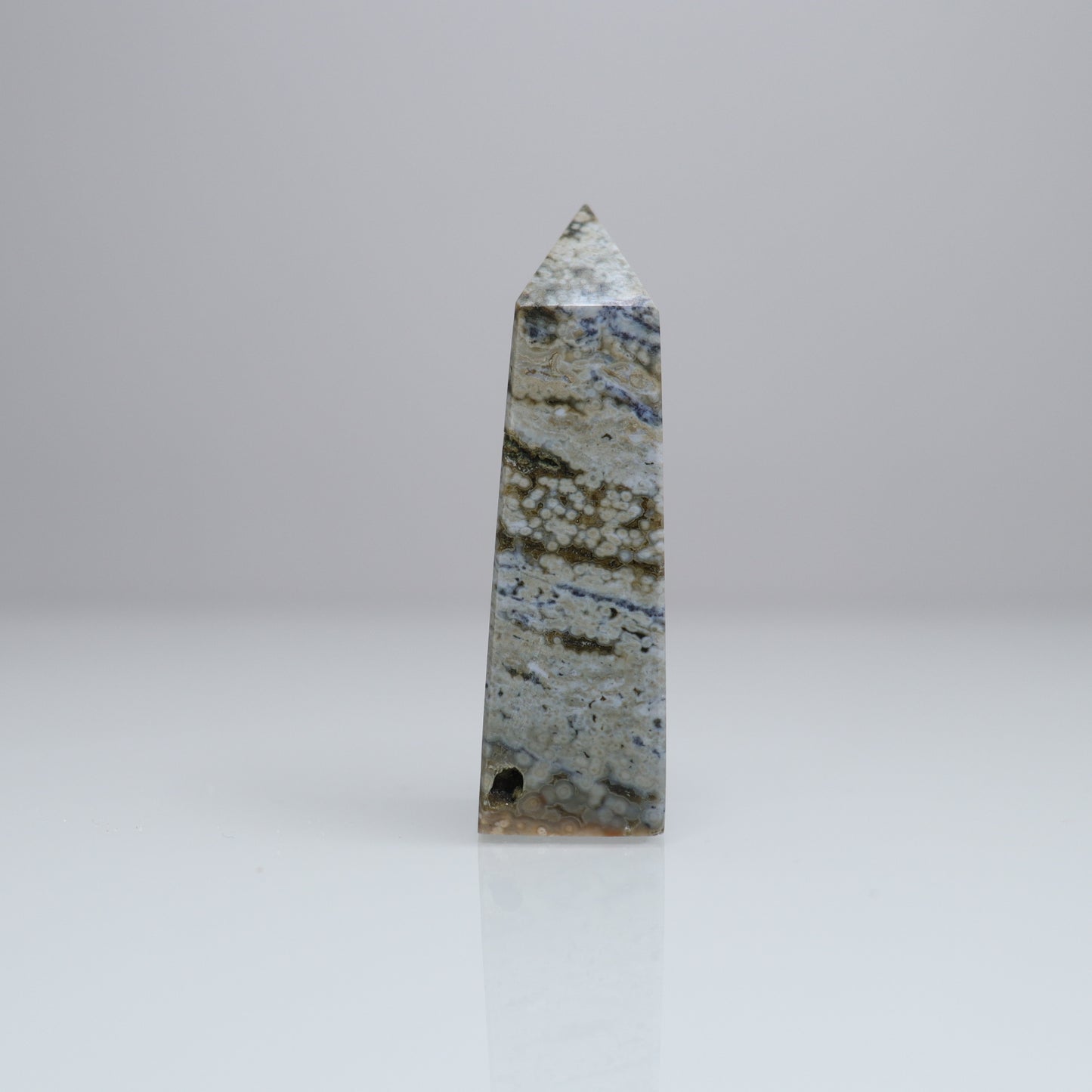 Ocean Jasper Tower | 2