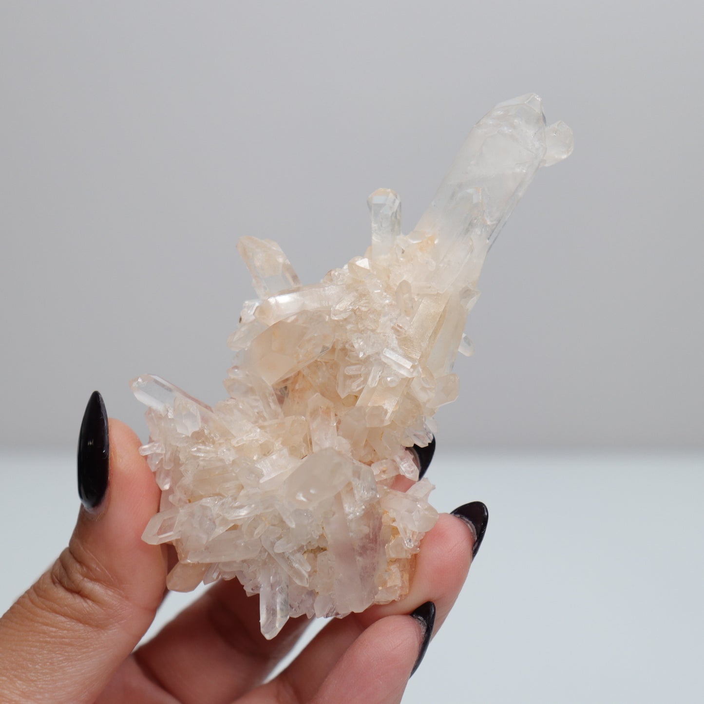 Quartz Cluster  | 24 🎸